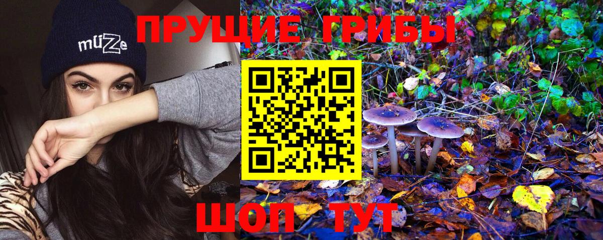 Псилоцибиновые грибы Cubensis  Псилоцибиновые грибы Cubensis  Вход с VPN  купить наркоту  Сафоново 